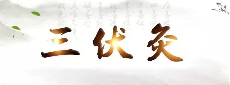 艾灸冬病夏治，春夏養(yǎng)陽，三伏灸果真如此神奇？