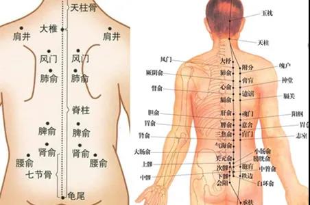 艾灸養(yǎng)肝疏通經(jīng)絡(luò)應(yīng)該灸哪里？