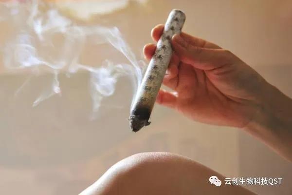 艾灸能同時調(diào)理好幾種婦科問題，簡單有奇效，現(xiàn)在開始灸還不晚！