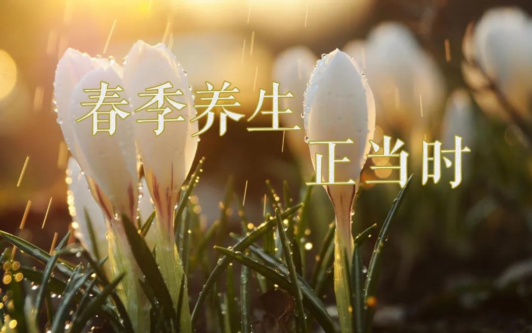 春天艾灸，陽上增陽，這些技巧別錯過！