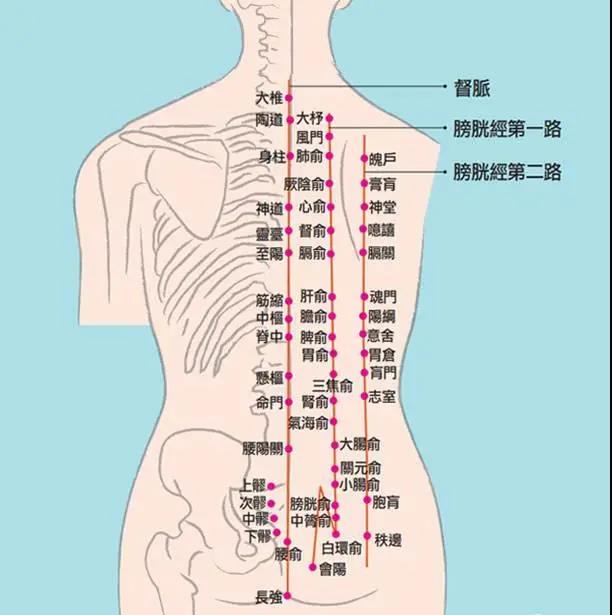 冷熱痛麻酸腫，這是經(jīng)絡(luò)信號在傳遞身體隱患
