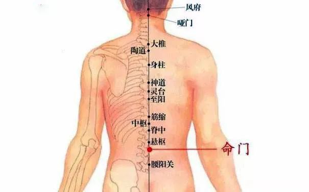 命門火衰影響人體生老病衰？命門穴有何神奇，竟決定生命的元陽盛衰？