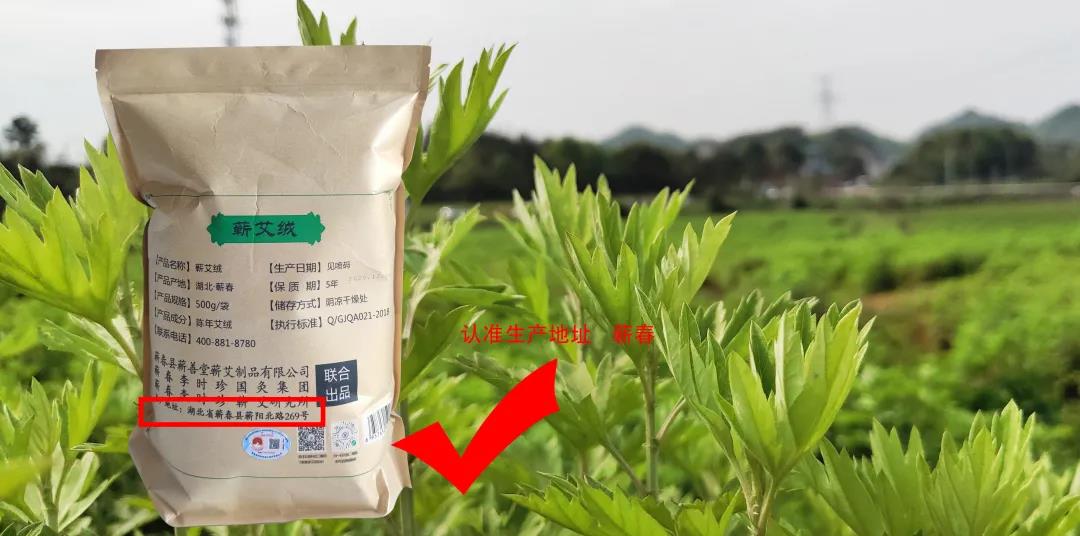 有“艾”相伴，補益陽氣行氣活血，淡淡艾香好助眠